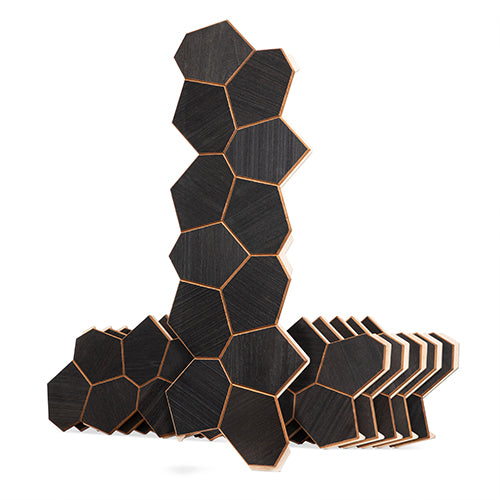 PROSAUNAS Modern Black Sauna Wall Panels