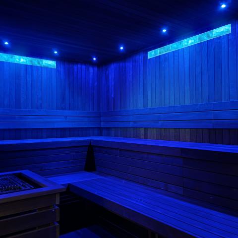 PROSAUNAS Small Himalayan Salt Feature