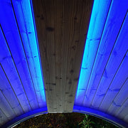 SaunaLife Emood Color Lighting for ERGO Sauna