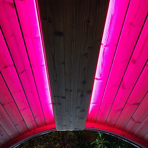 SaunaLife Emood Color Lighting for ERGO Sauna