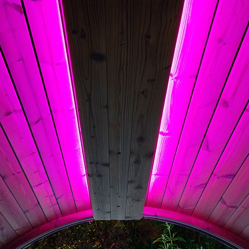 SaunaLife Emood Color Lighting for ERGO Sauna