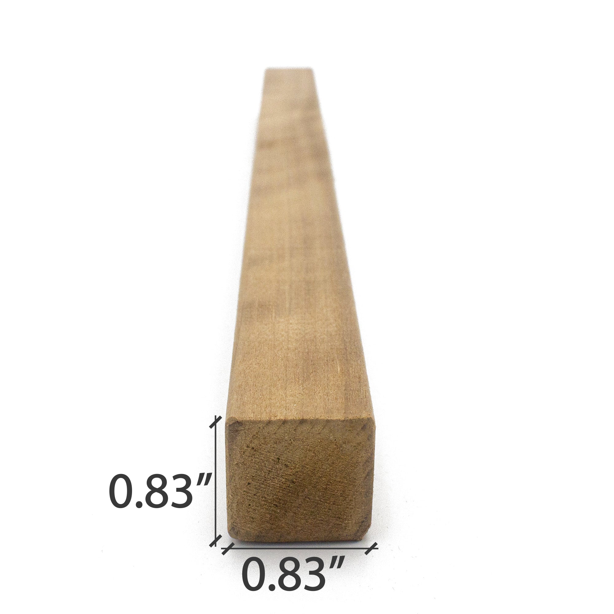 PROSAUNAS Thermo-Aspen 1X1 S4SEE SHP